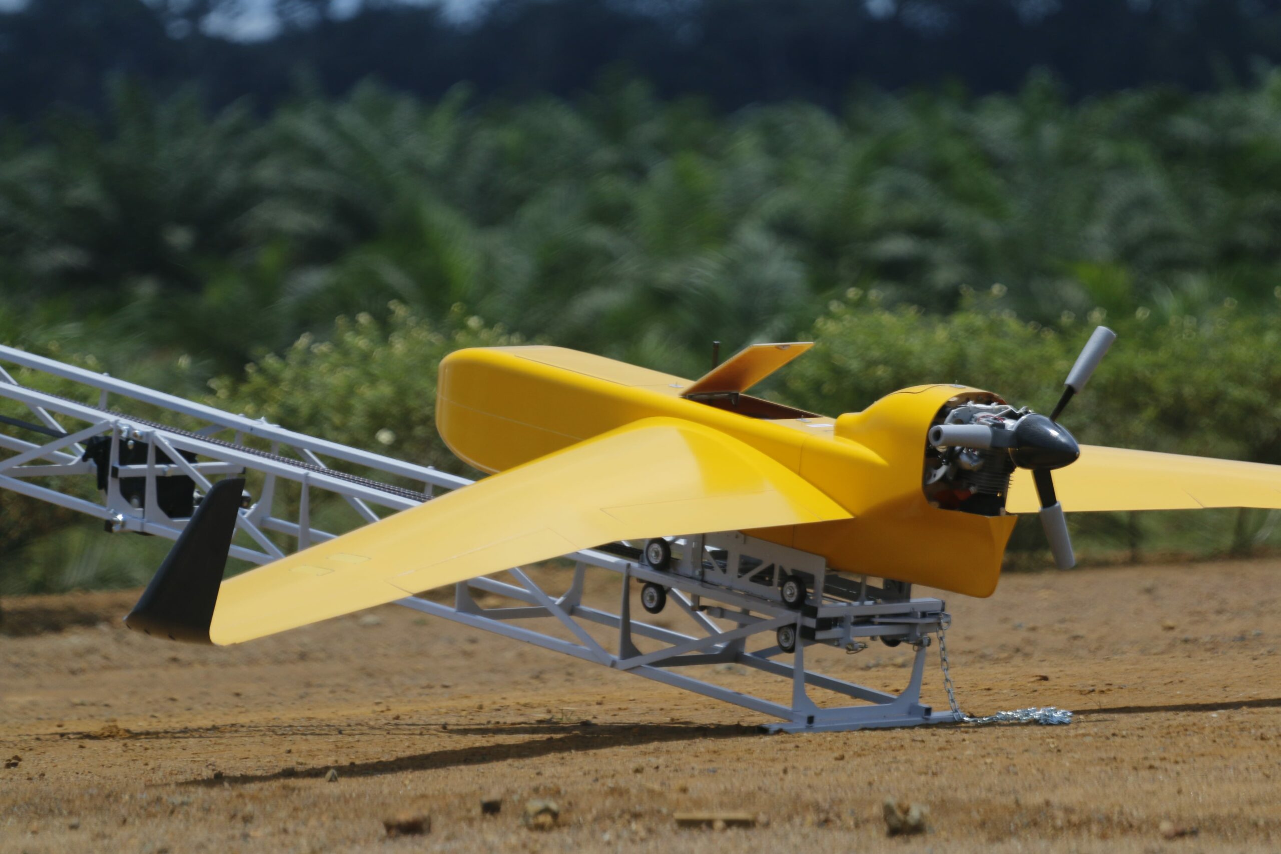 BOREAL NRM in Gabon